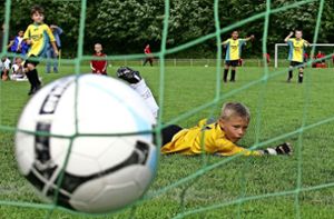 Bremse für die Reform im Jugendfußball