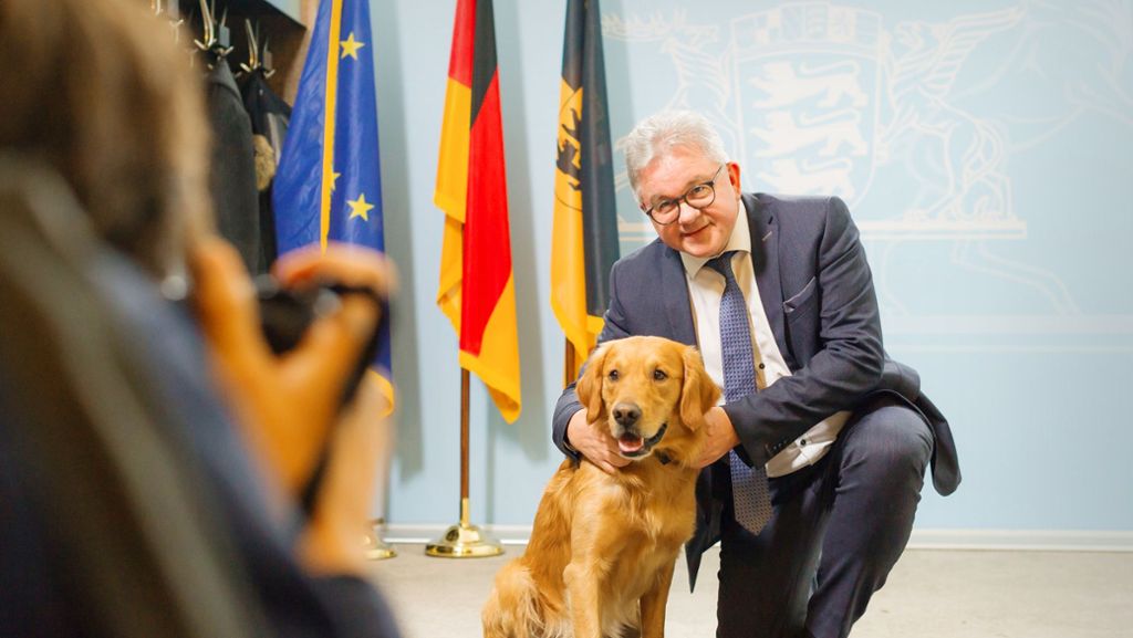 Ein Hund am Stuttgarter Gericht: Watson hilft traumatisierten Zeugen