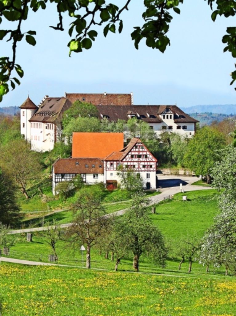 Burg Hohenfels bei Stockach: seit 84 Jahren ein Hort für die Unterstufe. Foto: Fred Krahwinkel