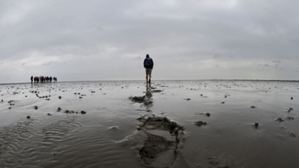Wattenmeer: Unesco erweitert Weltnaturerbe