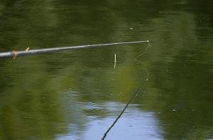 Angler aus Baden-Württemberg tot aus See geborgen