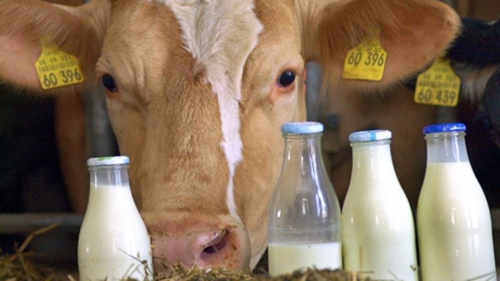 Niedrige Milchpreise: Landwirtschaftsminister will Bauern helfen