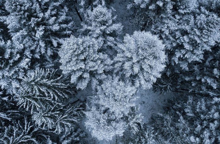 Schnee in Baden-Württemberg: Winterwetter lockt nach draußen – die schönsten Fotos