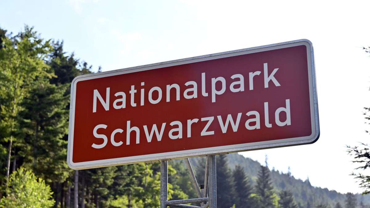 Nationalpark Schwarzwald: Kretschmann spricht Machtwort gegen CDU