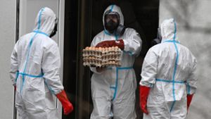 Wie gefährlich ist Vogelgrippe für den Menschen?