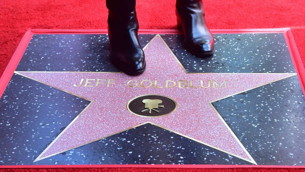 Jeff Goldblum auf dem „Walk of Fame“: „2638 war schon immer meine Glückszahl“