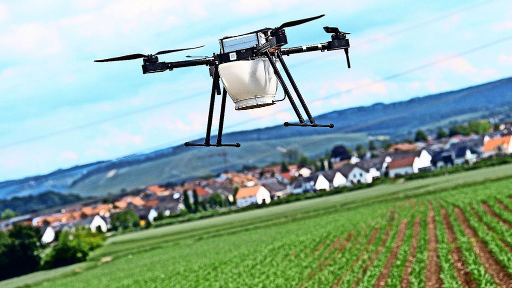 Streit wegen Drohne im Rems-Murr-Kreis: Auf diese Dinge sollten Drohnenpiloten achten