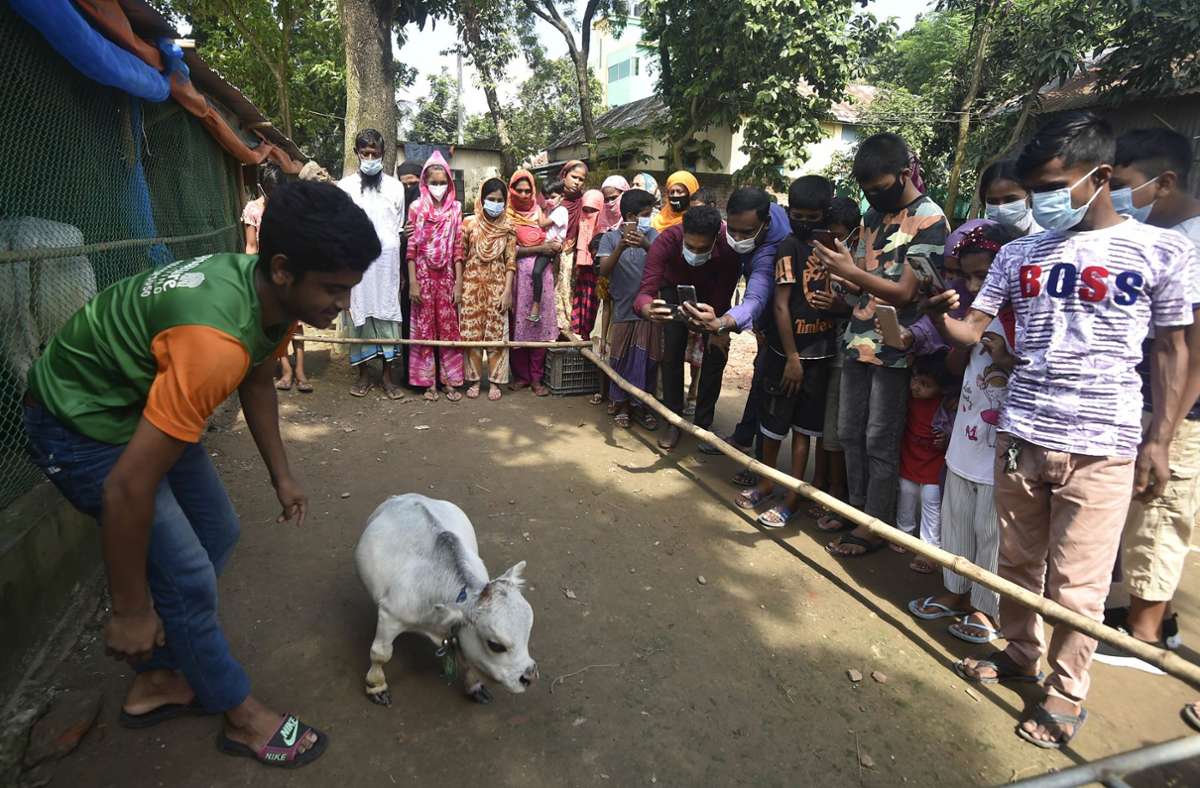 Tausende Menschen wollten Rani trotz des landesweiten Corona-Lockdowns auf einer Farm südwestlich der Hauptstadt Dhaka besuchen.