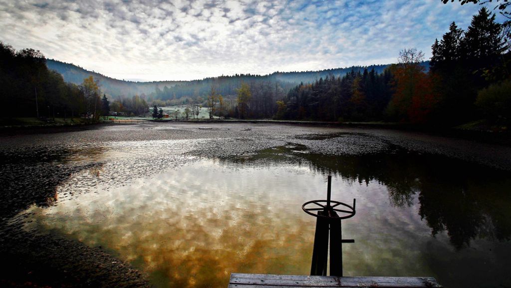 90 Jahre Waldsee Fornsbach: Ein Paradies für Wasserratten