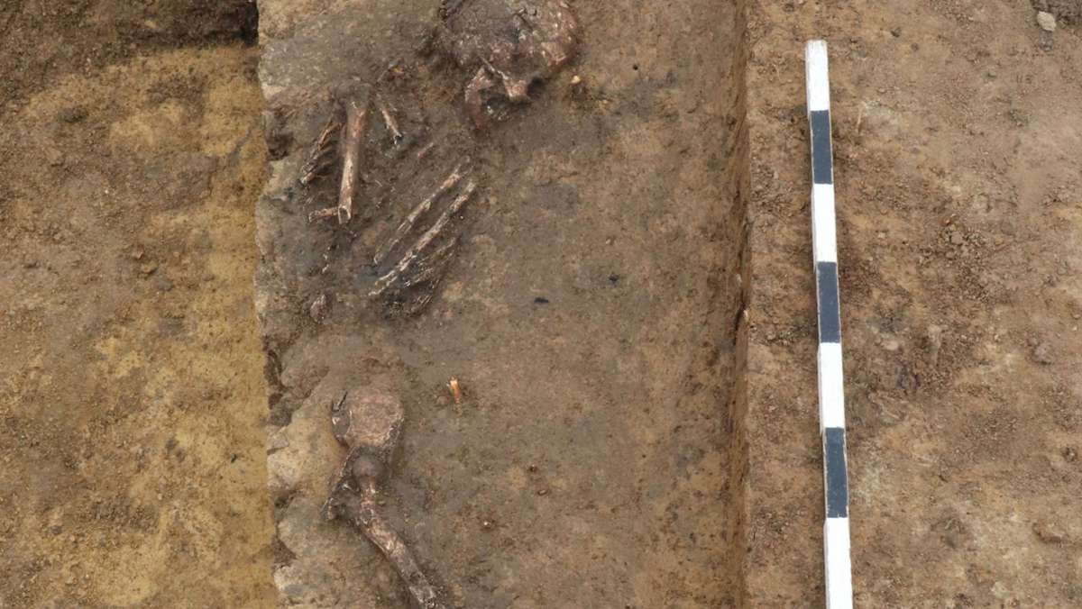  7000 Jahre hat das Skelett dieser Frau im Leinfelder Untergrund gelegen. Werden ihre Knochen nun bald in der Stadt ausgestellt? 