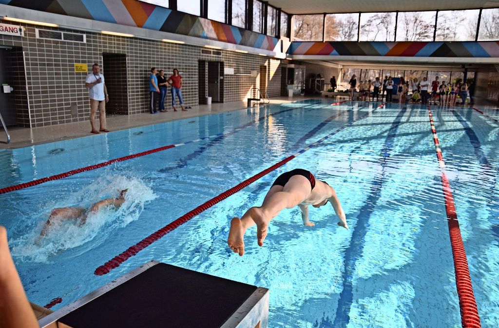 Das Hallenbad Vaihingen wird auch von Vereinen und für den Schulsport genutzt. Foto: Alexandra Kratz