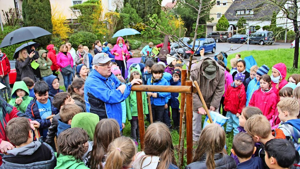 Baumpflanzaktion in Stuttgart-Feuerbach: Eine Grundschule mit grünem Daumen