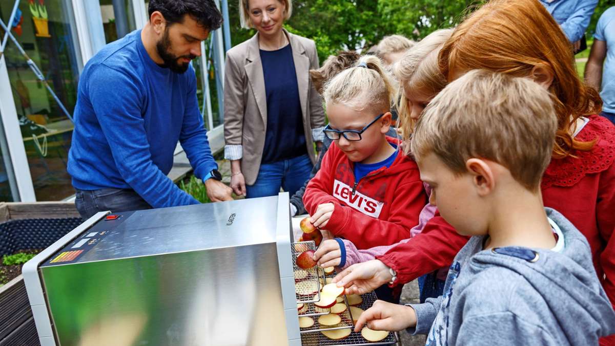 Schulprojekt in Rohrau: Dörrobst  statt Dividieren: So macht Lernen Spaß