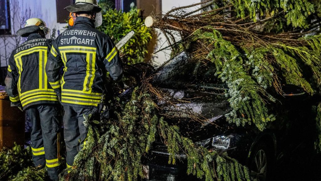 Sturm in Stuttgart: Zwölf Einsätze wegen Unwetter – Baum fällt auf Auto
