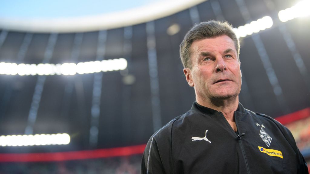 Tayfun Korkut: Dieter Hecking kritisiert schnelle Entlassung beim VfB Stuttgart