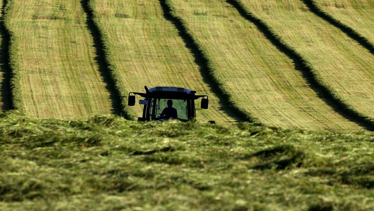 Brüssel: EU-Staaten und EU-Parlament einigen sich auf Agrarreform
