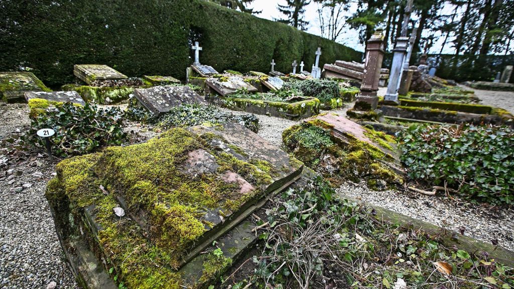 Bad  Boll: Die Rettung des „globalisierten Friedhof“ ist in Sicht