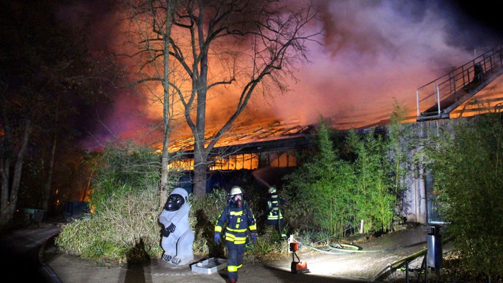 Affenhaus-Brand in Krefelder Zoo: Ermittler identifizieren mutmaßliche Verursacher des Feuers