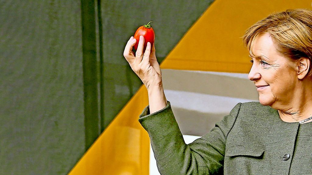 Angela Merkel im Wahlkampf: Die Deutschlandversteherin