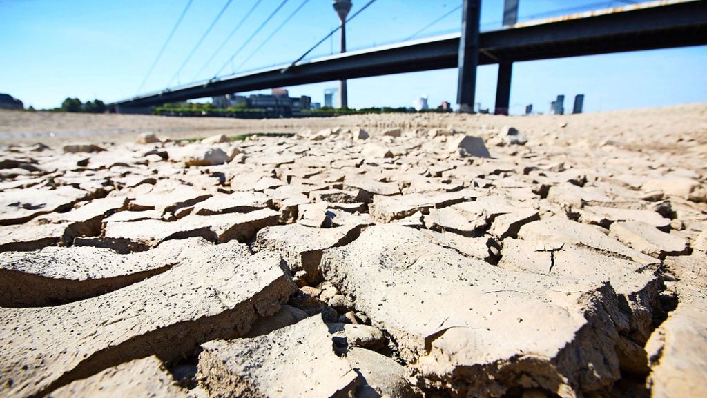 Wissenschaftler finden Hinweise: Klimawandel beeinflusst wohl das Auftreten von Dürren