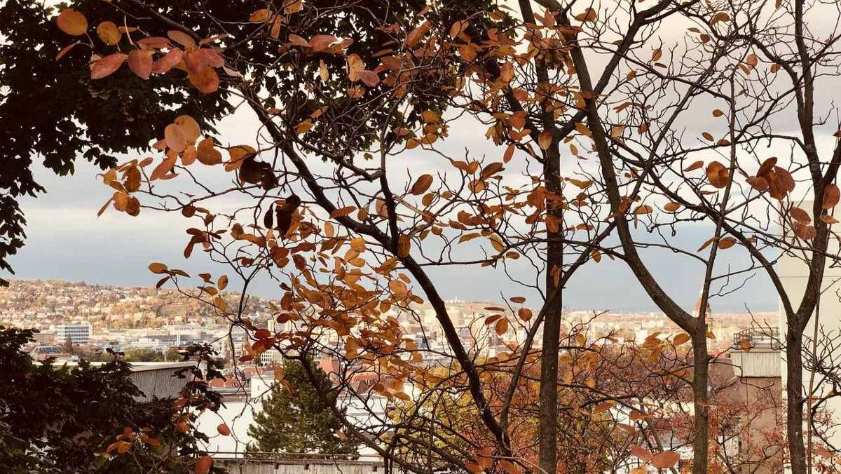 Der Herbst ist da und zeigt sich in diesem Jahr meist von seiner schönsten Seite. Auch unser Autor ist großer Fan der bunten Jahreszeit. Eine Liebeserklärung an den Herbst in Stuttgart.