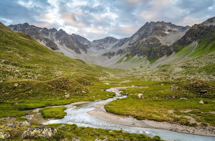 Wasserkraft in Österreich: Kampf ums Wasser: Bürger und Umweltschützer begehren auf