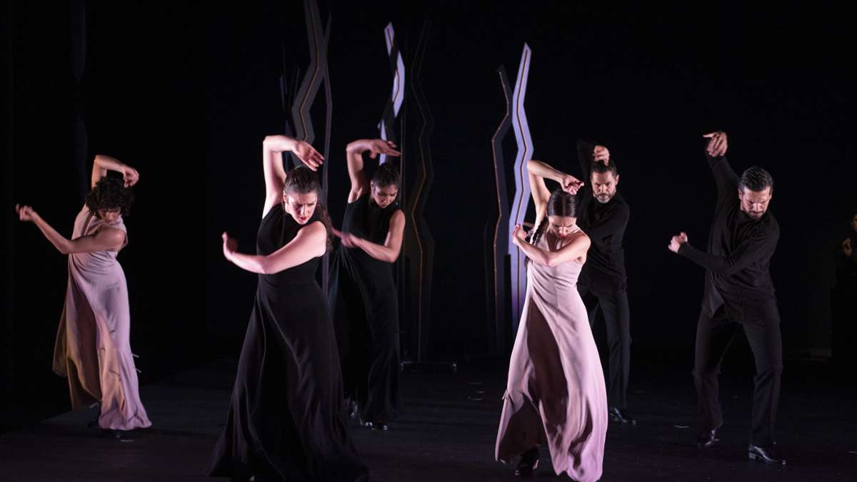 Schweizer Tanzkompanie: Aus für  Flamencos en route