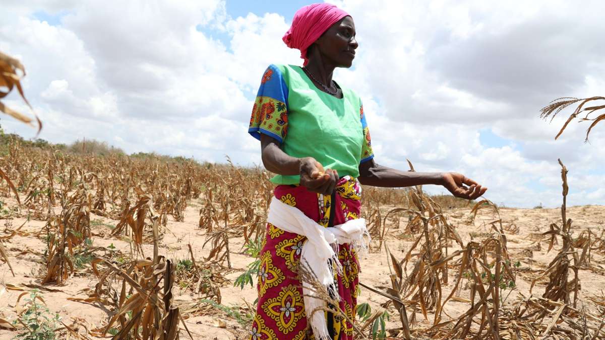 Hungersnot am Horn von Afrika: Schlimmste Dürre seit 40 Jahren bedroht Millionen Afrikaner