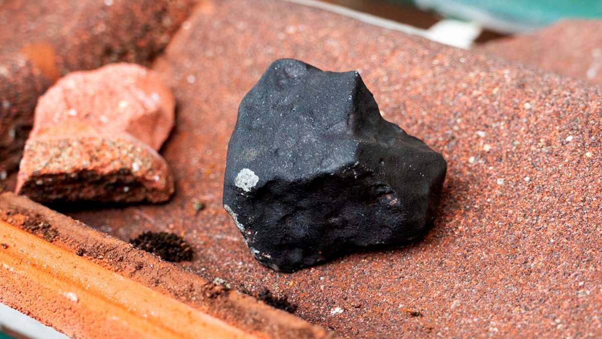 Untersuchungen in Elmshorn: Weitere Meteoriten gefunden