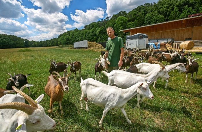Viehhalter sehen wenig Möglichkeiten zum Schutz