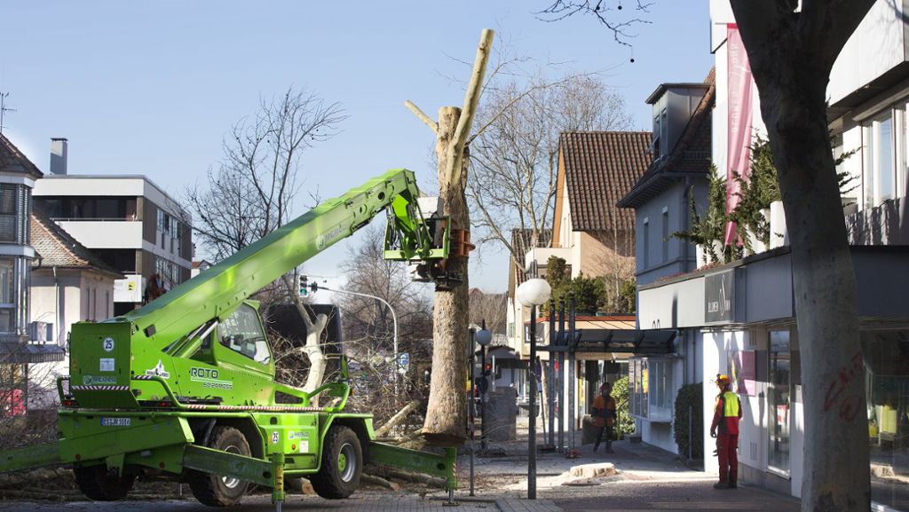Verkehrsbeeinträchtigungen im Ostfilderner Stadtteil: In Nellingen beginnt die heiße Bauphase