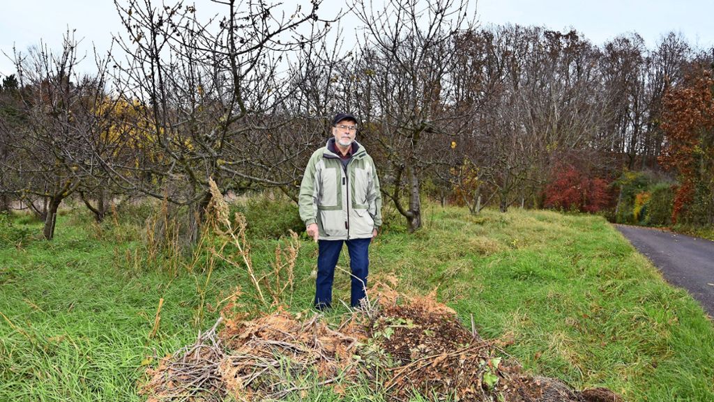 Landschaftsschutzgebiet in Uhlbach: Hecken gegen wilde Müllentsorgung sind nicht erlaubt