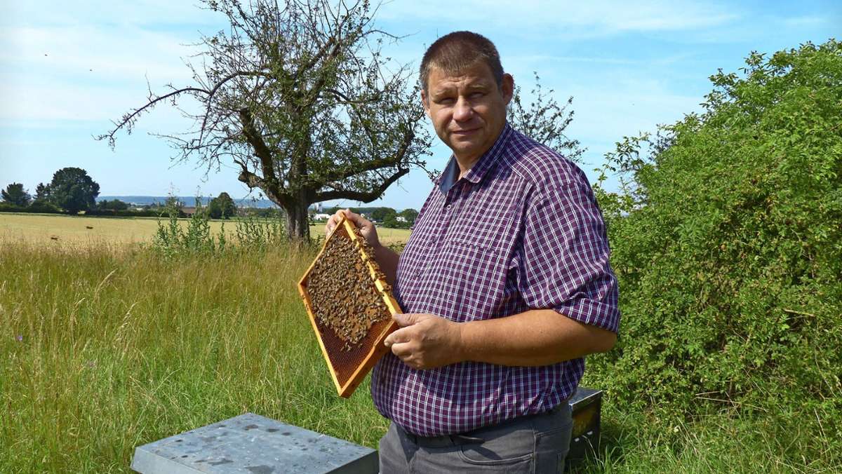 Fellbach ist Sitz des Vereins Waldtrachtbeobachter Süd. Die Mitglieder beschäftigen sich vor allem mit Bienenvölkern und Lausbeobachtung. 