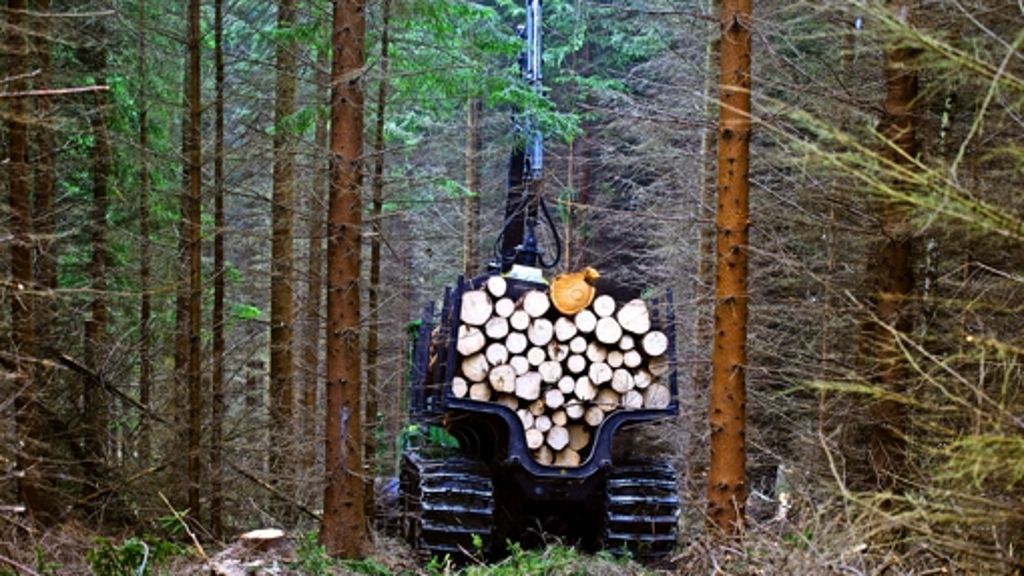 Interview mit dem Bundeskartellamts-Präsidenten: „Holzverkauf ist keine hoheitliche Aufgabe“