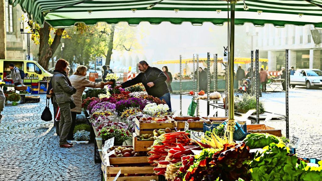 Markt, Regiomat, Hofladen oder Lieferung: Wo kann man saisonal einkaufen?