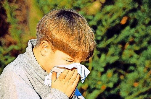 Aus Heuschnupfen wird Asthma