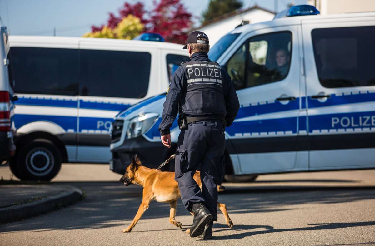 BadenWürttemberg Deshalb erschnüffeln Polizeihunde jetzt auch Bargeld