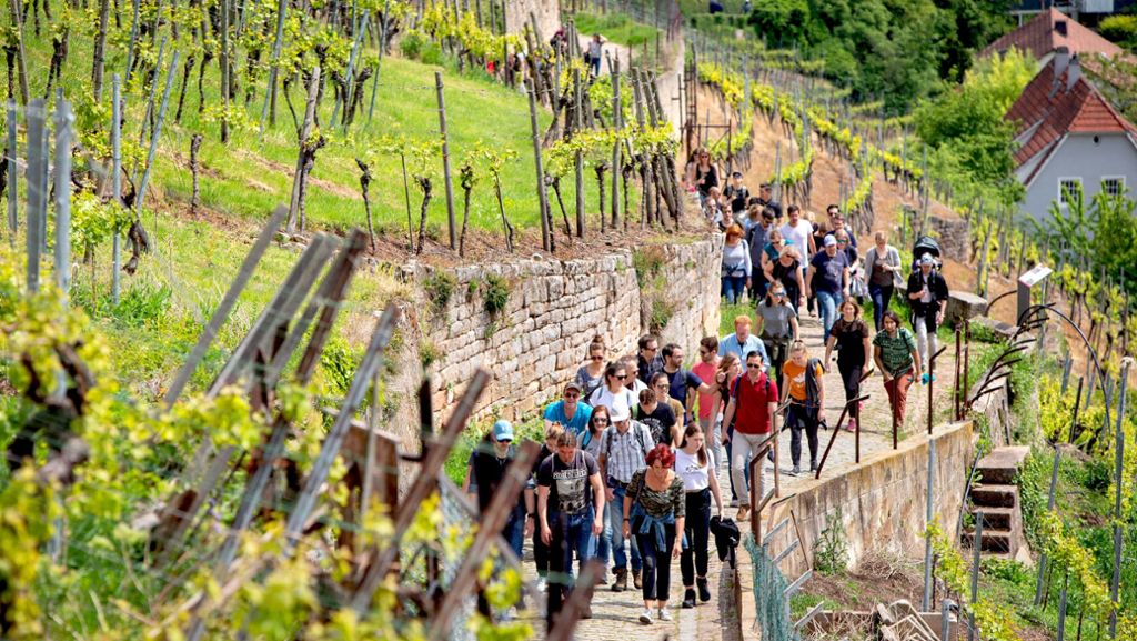 Traditionsveranstaltung in Esslingen: Wandernde Weingenießer