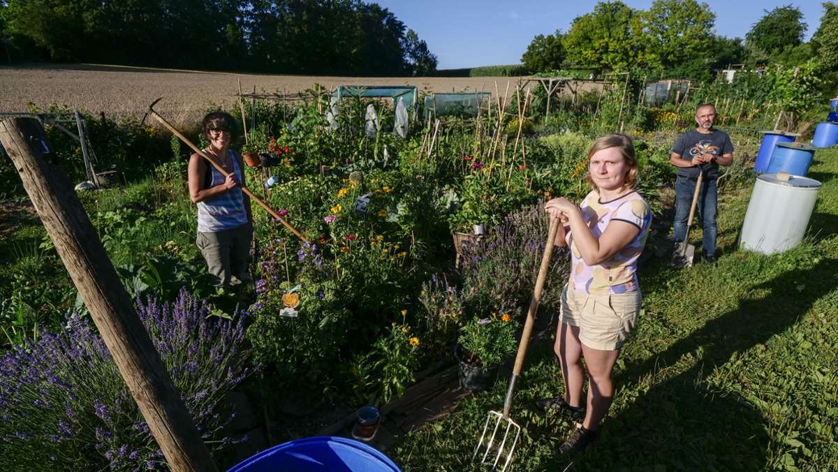 Gartenprojekt in Ditzingen: Integration mit Peperoni und  Paprika