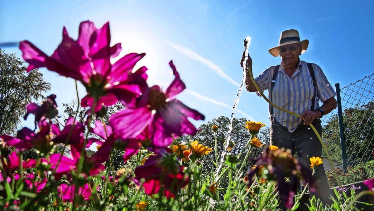 Kleingartenvereine auf den Fildern: Wie groß ist die Chance auf einen Garten?