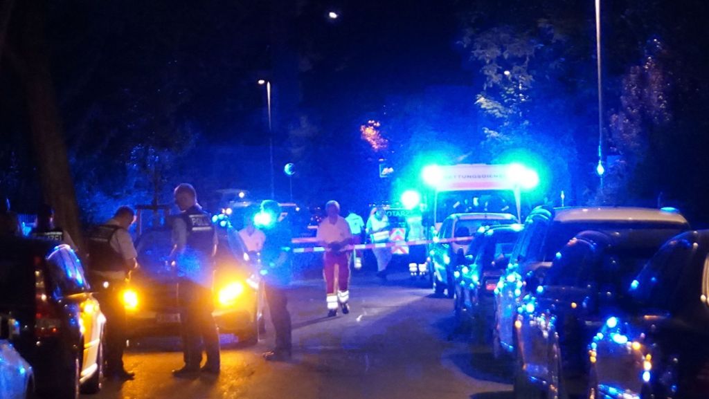 Polizeibericht aus Böblingen: Schüsse bei Polizeieinsatz