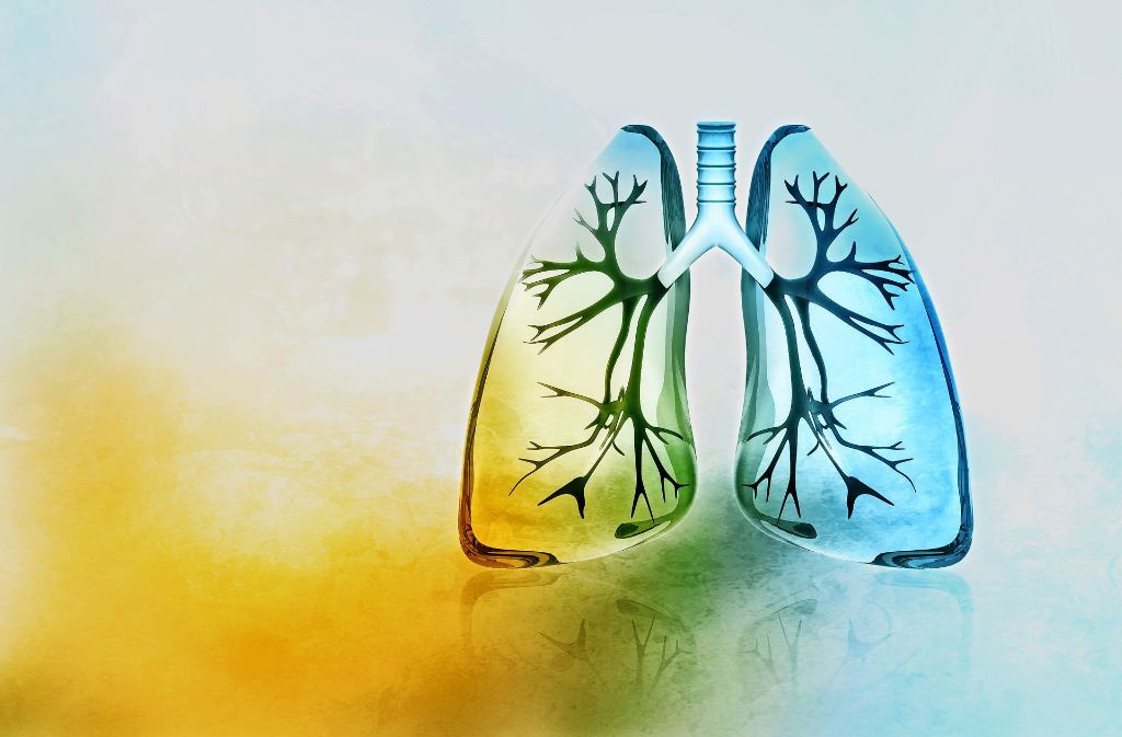 Die Lunge ist ein sensibles Organ –  manche spüren das erst, wenn es fast schon zu spät ist. Foto: Fotolia