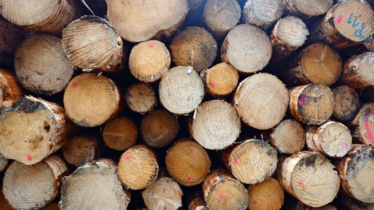 Forstwirtschaft in Leinfelden-Echterdingen: Der Wald bleibt ein Zuschussgeschäft