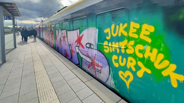 Zug in Bietigheim besprüht: Welche Folgen die Graffitis für Go-Ahead und die Zuggäste haben
