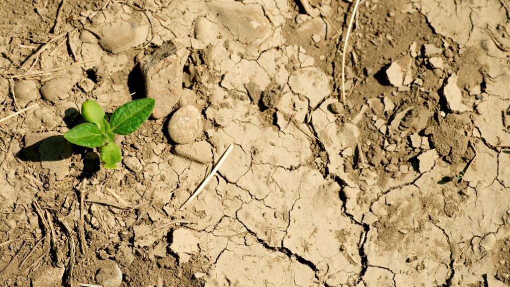 Wasserknappheit: Grüne fürchten mehr Verteilungskämpfe ums Wasser