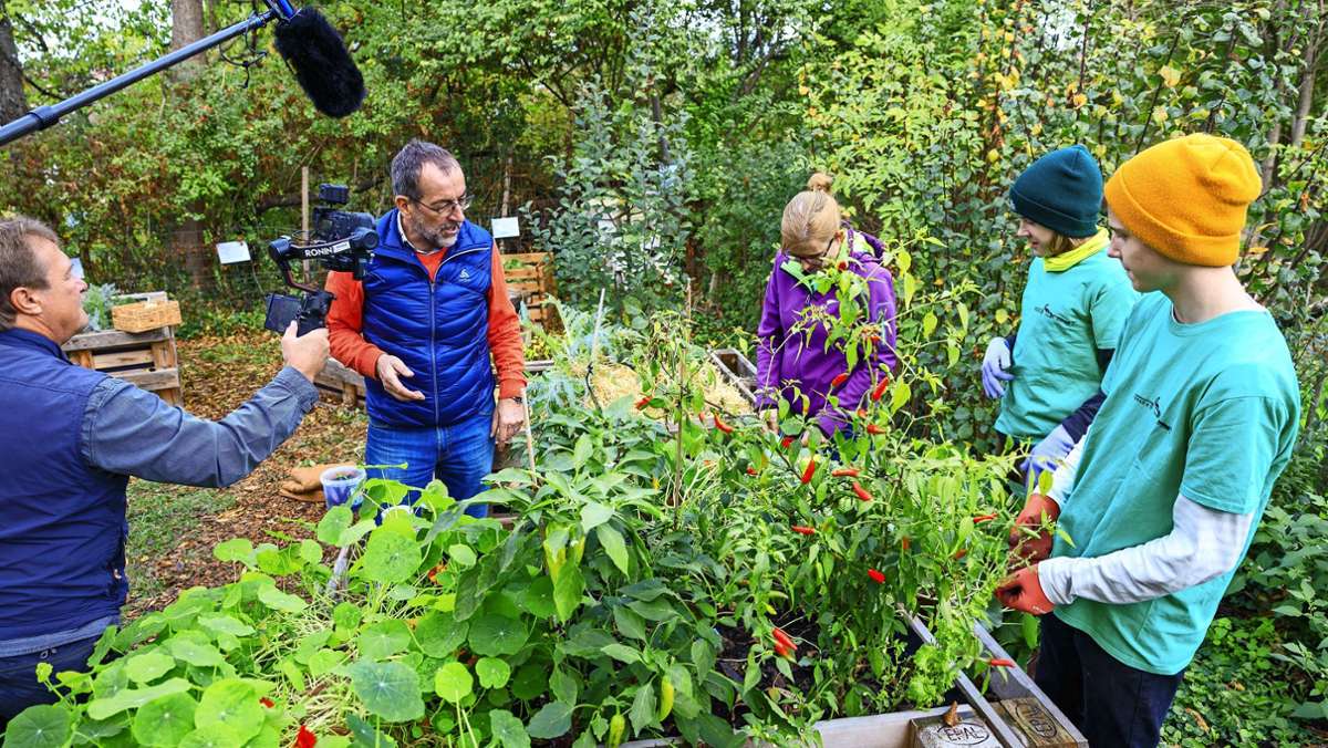 Garten-Experte Volker Kugel in Sindelfingen: Hochgefühle an den Hochbeeten