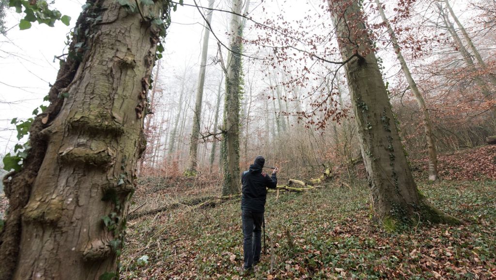 Mord an Joggerin in Endingen: Ermittler gehen 3300 Spuren nach