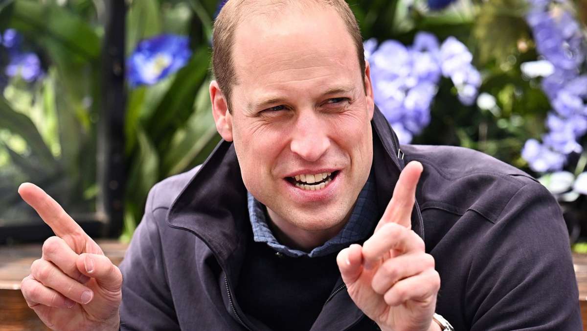 Royals engagieren sich für Klimaschutz: William und Charles setzen auf Fernsehen