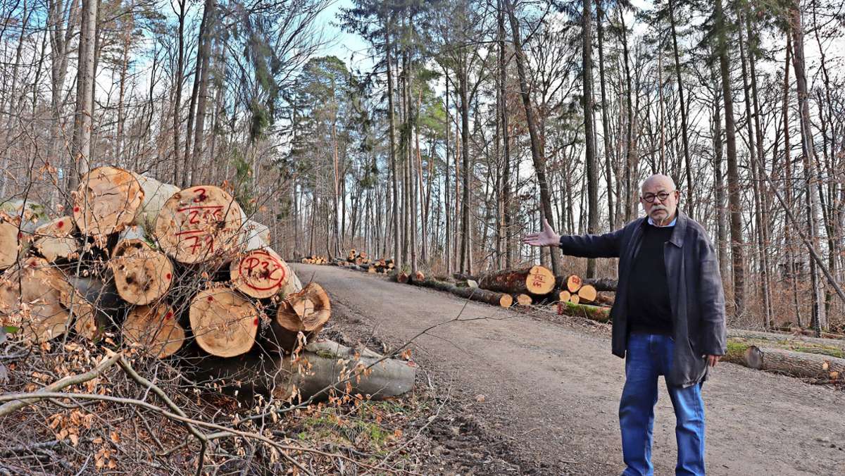 Wald in Waldenbuch: Holzernte verärgert Anwohner
