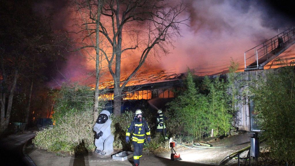 Brand im Krefelder Zoo: Himmelslaternen könnten Feuer im Affenhaus ausgelöst haben
